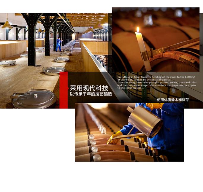 詳情_朗格多克_B_3_03