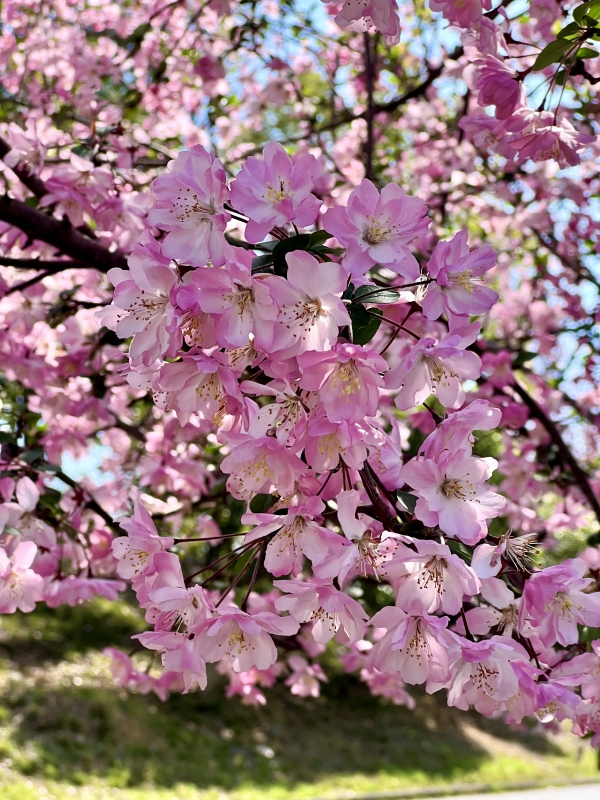 微信圖片_20250326144739_副本